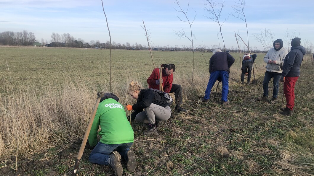 Bomen planten