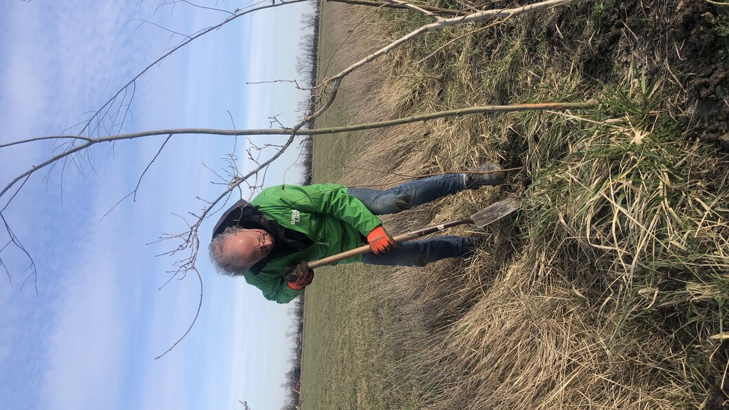 bomen planten