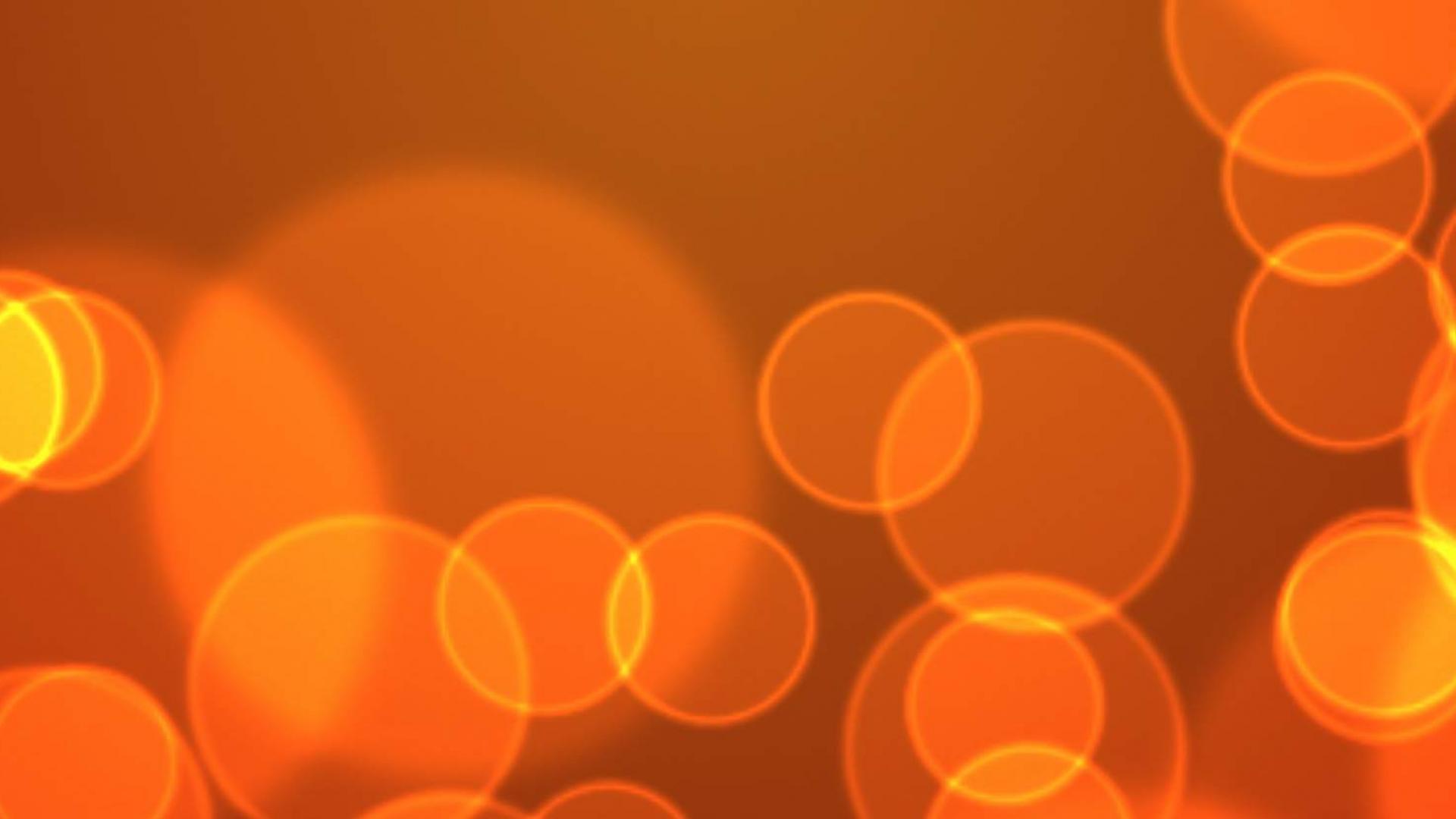 header2.jpg