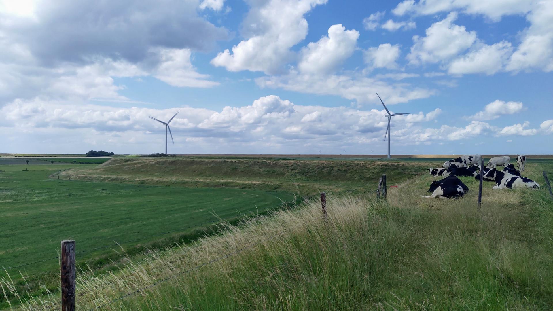 landschap-schouwen-duiveland